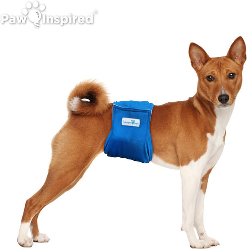 3-Count Pack 3) Paw Inspired Reusable Male Dog Wraps, Washable Diapers for Male Dogs, Belly Bands for Incontinence