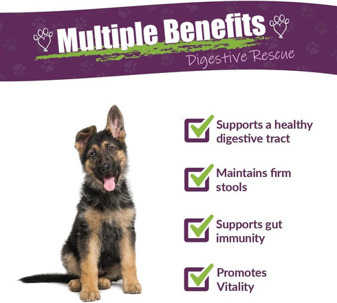 Amber NaturalZ Paxaid Digestive Rescue for Dogs and Puppies, Supports Normal Appetite & Gut Function