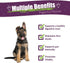 Amber NaturalZ Paxaid Digestive Rescue for Dogs and Puppies, Supports Normal Appetite & Gut Function