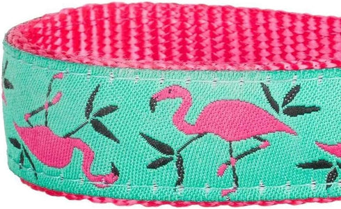 Blueberry Pet Essentials 2 Patterns Durable Dog Leash, Pink Flamingo on Light Emerald, 5 ft x 3/4", Medium, Basic Nylon