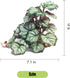 Woyrise Reptile Artificial Plants for Terrarium Decor, Amphibian Habitat Hideout Bearded Dragon Tank Decorations fit