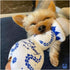 Claws Awoof Dog Toy | Funny Cute Durable Plush Toy with Squeaker for Small Medium Dogs | Cute Dog Birthday Gift
