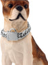 Heavy Double Cuban Link Chain Dog Collar, Stainless Steel Silver for Medium Large Dogs, Waterproof, Chewproof, Luxury