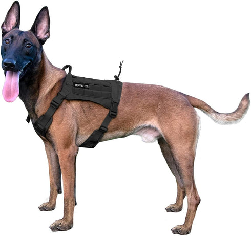 IronSeals Service Dog Vest Harness, Tactical Molle Dog Vest with Detachable Patches and Pouches