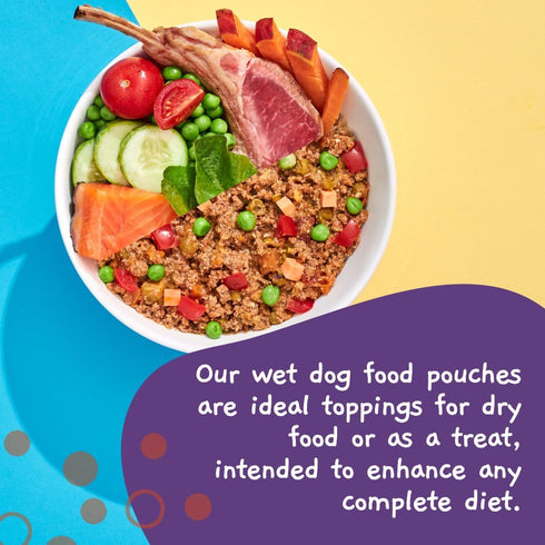 MOOCHIE Home Cooked Superfood Natural Wet Dog Food Recipe - Joint & Bone - Lamb, Sweet Potato & Spinach - 9 oz x 6