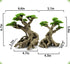 Novelsite Fish Tank Decor - Bonsai Trees with Faux Moss, Aquarium Rocks Aquascaping, Sandstone Goldfish Betta Hides