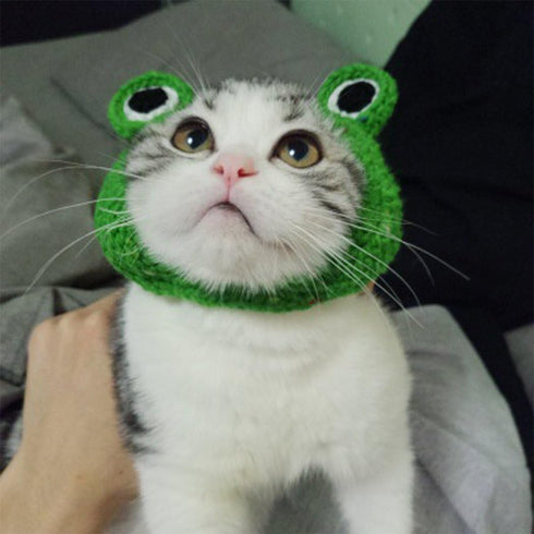 Pet Hat - Handmade Knitted Woolen Yarn Cap for Dog Cat Puppy Teddy Cartoon Frog Grooming Accessories, Green, M