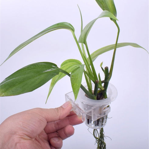 Obotsnoi Plant Stand Holder for Decorative Cups Aquariums for Water Emersed Decorations Bulk Aquarium Wall