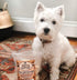 Cow Ears for Dogs, Thick Cut, Grass-Fed Angus Beef, All-Natural No-Rawhide Treat Alternative