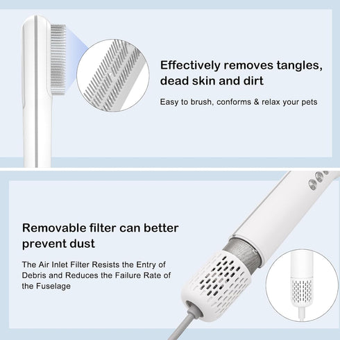 Pet Hair Dryer and Brush 2 in 1, High and Low Temperature, 3 Wind Speed Adjustment, 800W Power for Small Medium Cats