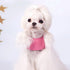 Zunea No Pull Pet Dog Vest Harness for Small Dog Girl, Adjustable Soft Suede Leather with Leash Set
