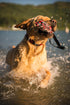 EzyDog Beaver Tail Dog Toy - Durable Fetch and Tug Toy for Retrievers and Water Dogs, Small Size for Dogs Under 44 lbs