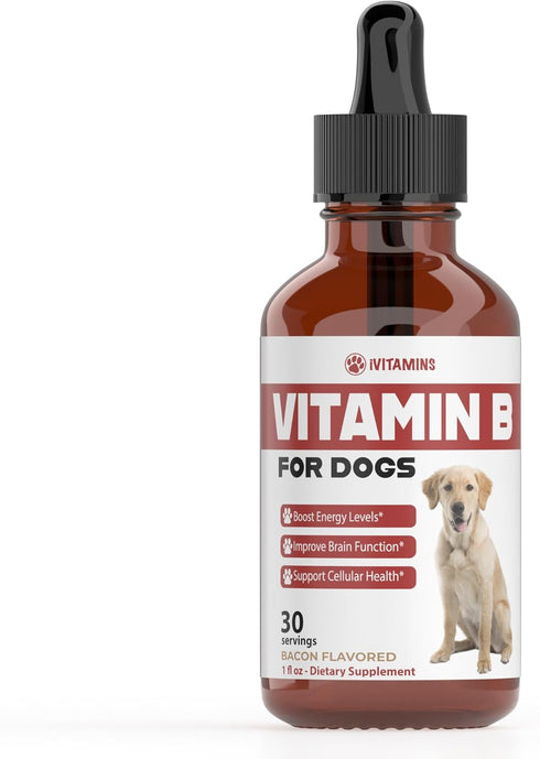 iVitamins Vitamin B for Dogs | Vitamin B Complex for Dogs | Vitamin
