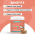 Skin & Coat Supplement for Dogs with Salmon Oil, Omega 3 & 6, 70 Soft Chews for Healthy Skin