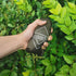 onewind Versatile Hammock Gear Sling or Backpack Rain Cover, Ultralight Waterproof Underbelly Gear Storage