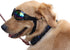 NACOCO Pet Glasses Dog Sunglasses for Golden Retriever and Samoyed, Big Dog Goggles (Black).