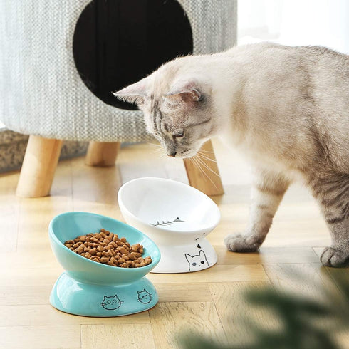 Sweejar Ceramic Raised Cat Bowls - Turquoise | Slanted Cat Dish for Food or Water, Elevated Porcelain Pet Feeder Bowl