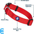 Blueberry Pet Essentials Medium Dog Collar in Rouge Red | Classic Adjustable Nylon Strap for Medium Dogs, Eco-Friendly
