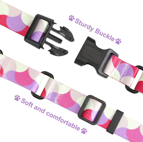 Martingale Dog Collars, Adjustable Soft Nylon Slip Collar with Quick Release Buckle, No Pull Training Collar for Dogs