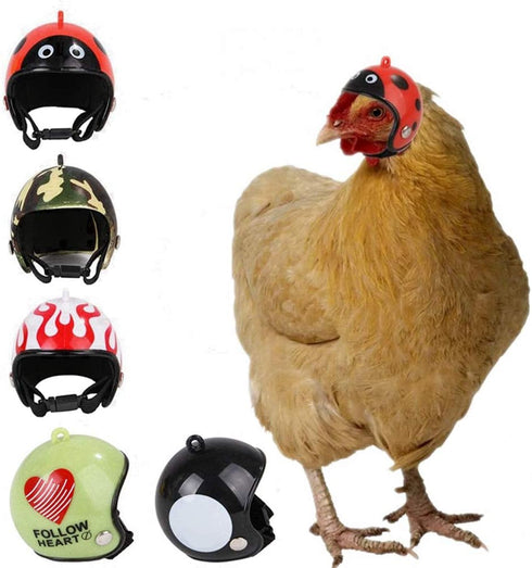 Chicken Helmet Bird Hat Safety Headgear for Small Animals, 5 Pcs Halloween Costumes