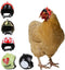Chicken Helmet Bird Hat Safety Headgear for Small Animals, 5 Pcs Halloween Costumes