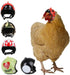 Chicken Helmet Bird Hat Safety Headgear for Small Animals, 5 Pcs Halloween Costumes