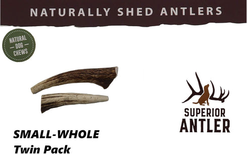 Small, Whole, Twin Pack – Grade A Premium Elk Antler Dog Chews for 20 to 25 lb Dogs, Naturally Shed, NO Odor, NO Mess,