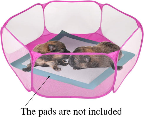 RYPET Guinea Pig Playpen, Breathable Transparent Pet Exercise Fence, Portable for Indoor/Outdoor