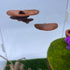 Jumping Spider Mushroom Shelf, Magnetically Concealed Jumping Spider Habitat,Serves As Enclosure Decorate Accessories