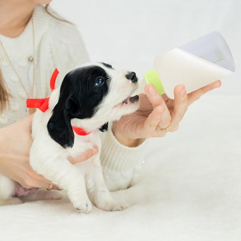 Fukaisu Kitten Bottle Feeding Kit, Professional Kitten Nursing Bottle with Nipple & Cleaning Brush Newborn Pet Feeding