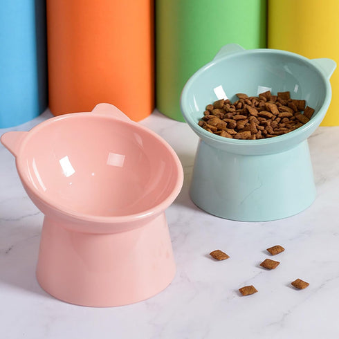 Raised Cat Bowl, Elevated Feeding Bowls with Stand, Anti Vomit Tilted Cat Food Bowl for Pets