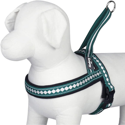 Blueberry Pet 6 Colors Soft & Comfy Jacquard Padded Dog Harness, Teal Blue, S/M, Chest Girth 21.5" - 27.5"