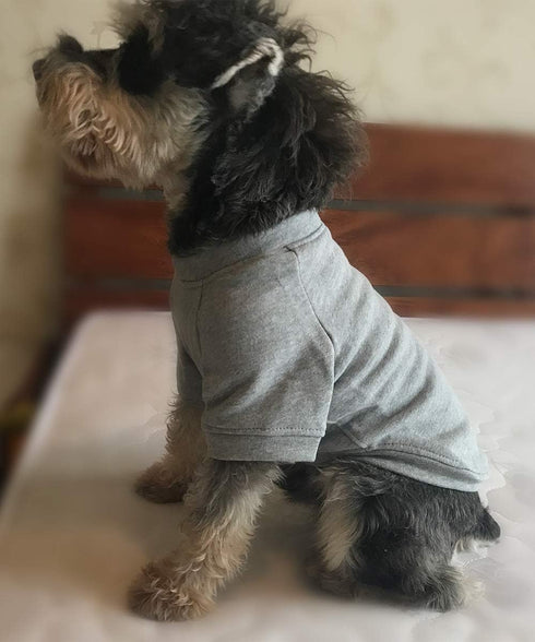Lovelonglong Dog Pullover Sweatshirt for Small Medium Large Dogs, Gray XL, Autumn Winter T-Shirts