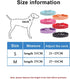 Rhinestone Dog Collar, Cute Dazzling Sparkling Elegant Fancy Suede Leather 1 Row Bling Crystal Jeweled Small Pet Cat