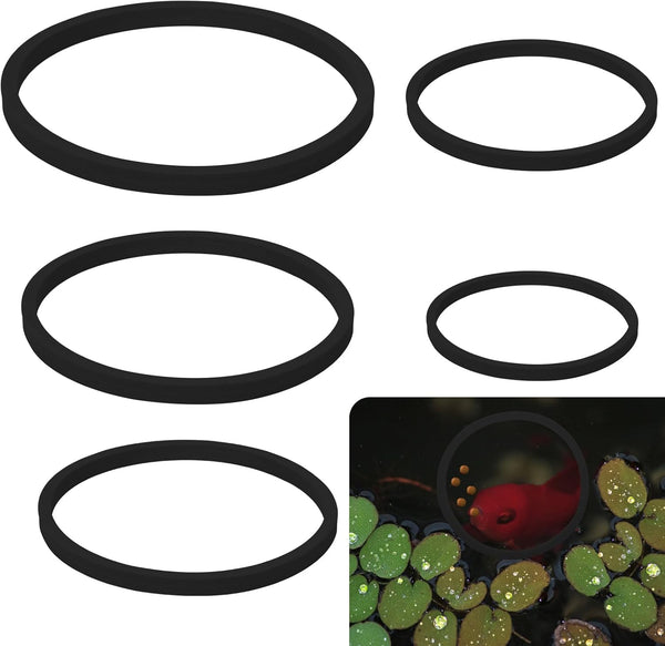 5pcs Aquarium Floating Plant Rings, Foam Floating Plant Corral, Fish Feeding Rings for Keeping Plants in Place (Black)