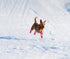 YAODHAOD Dog Shoes for Winter, Fleece Warm Snow Booties for Small Medium Dogs, Size 5: Pink