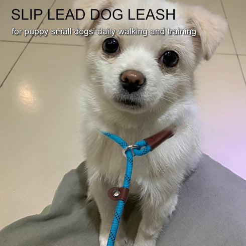 7Ft Slip Lead Dog Leash for Small Dogs, Lightweight Nylon Rope Leash, No Pull Small Puppy Training Leash, Blue