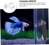 balacoo 1 Set Double Sided Acrylic Betta Training Mirror, Transparent Plastic Float Fish Tank