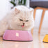 Pet Bowls Stainless Steel - Universal Dog & Cat Water and Food Bowls, 4 Sizes & 5 Colors Available (S, Pink)