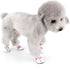 Zunea Small Dog Shoes for Hot Pavement, Breathable Mesh Boots, Adjustable Non-Slip Zipper Pet Booties, Pink 5#