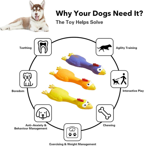 Hoiasem 3 PCS Latex Chicken Squeak Toy for Pets - Exciting Chew & Dental Care Fun - Perfect for Playful Molar Exercise
