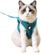 HEYWEAN Cat Harness and Leash, Ultra Light Escape Proof Kitten Collar Walking Jacket, Soft and Comfortable