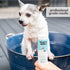 Mighty Mutt Soothing Dog Shampoo and Conditioner – Natural, Hypoallergenic & Anti-Itch Formula for Sensitive Skin, 9 fl