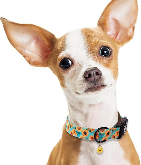 Faygarsle Dog Collar - Cute Light Green Puppy Collars with Sunflower Pattern for Small Medium Large Dogs, Spring Summer