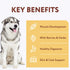 OPtimeal Grain-Free Dog Food, Balanced Dry Recipe with Immunity Support, Non-Grain for All Breeds, 3.3 lbs, Chicken &