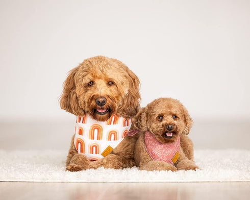 Remy+Roo Large Spring Bandanas - 4 Pack Rubi Set | Adjustable Polyester Fabric | Premium Durable Floral Dog Bandana