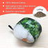 REKOBON Catnip Toys, 8 Pack Kitten Toys for Indoor Cats, Bite Resistant Chew Toy with Sushi Roll