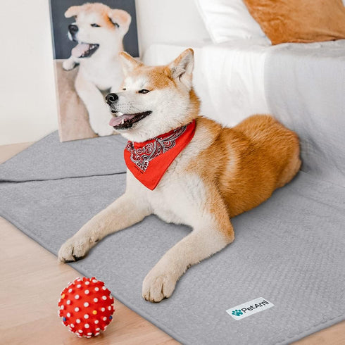 PetAmi Waterproof Dog Blanket, Leakproof Fleece Cover for Small Medium Dogs, 29x40 Light Gray