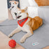 PetAmi Waterproof Dog Blanket, Leakproof Fleece Cover for Small Medium Dogs, 29x40 Light Gray