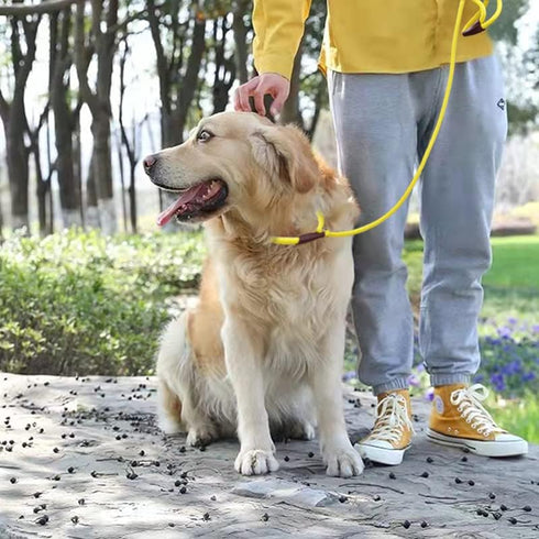 Rope Slip Lead Dog Leash | Heavy Duty 1/2” by 5ft Solid Colors | 7+ Climbing Nylon Round Training Leash for Medium Large